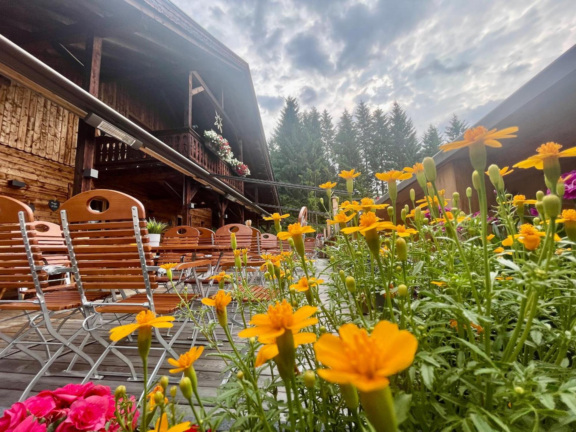 Sweet Cherry - Boutique & Guesthouse Tyrol インスブルック エクステリア 写真